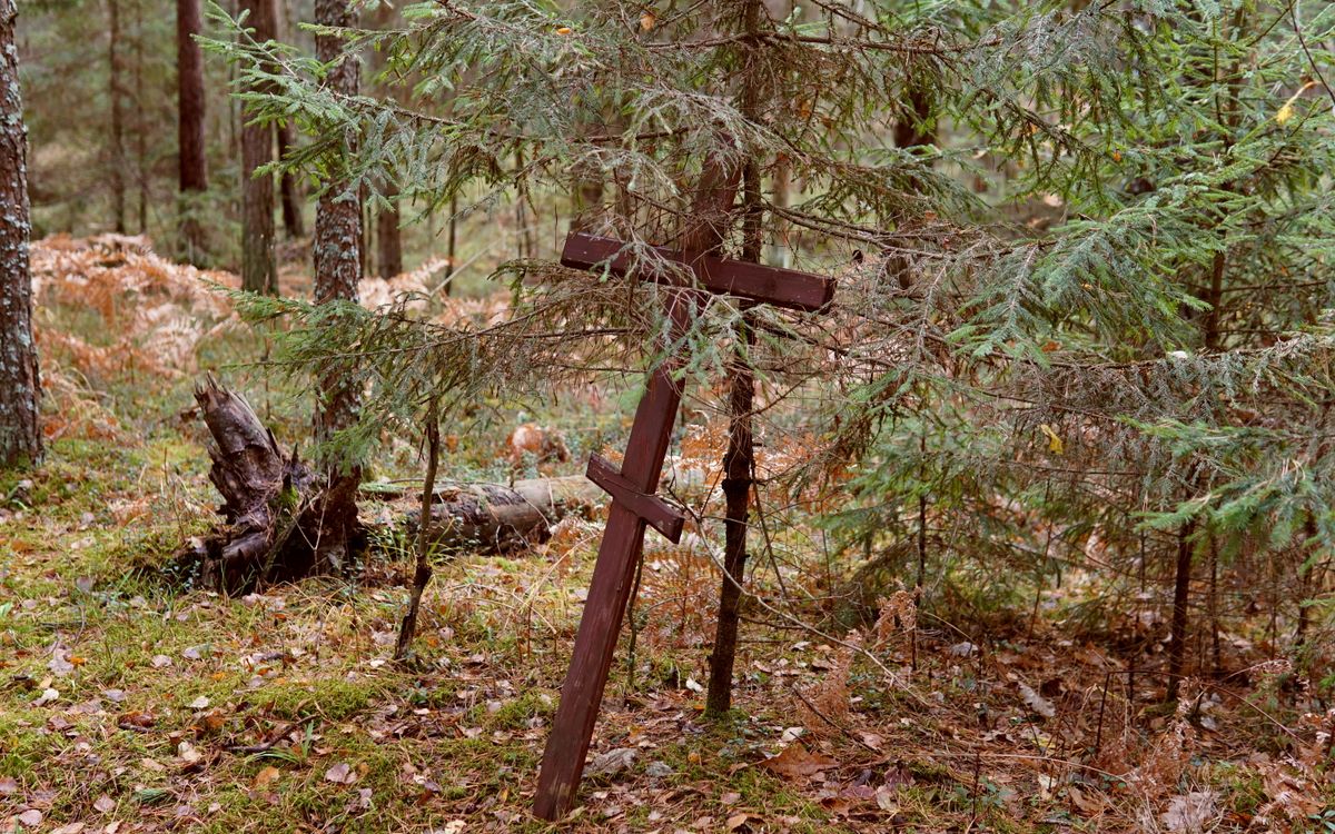 A wooden crucifix stands amidst lush greenery in a tranquil forest setting.