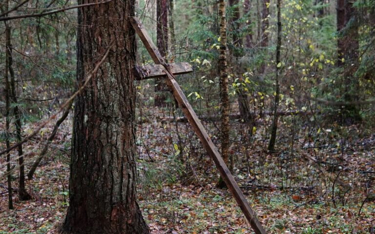 A rustic wooden cross leaning against a tree in a serene forest. Captures the beauty and tranquility of nature.
