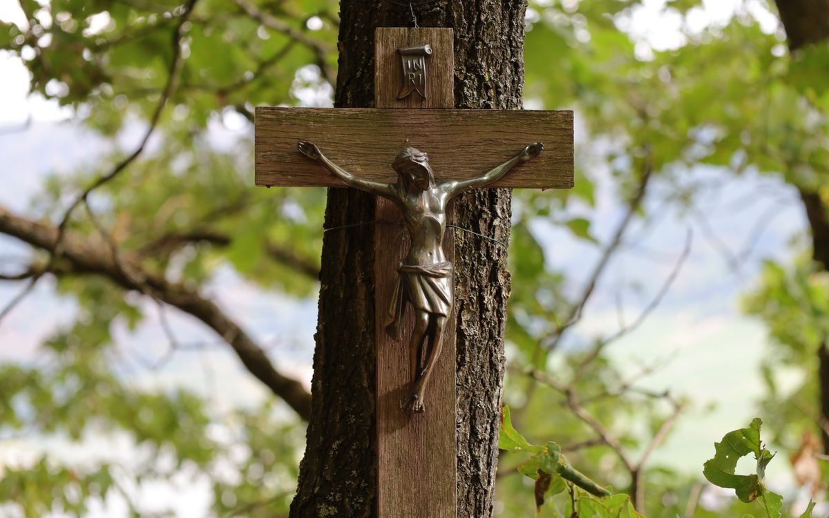 A bronze crucifix on a wooden cross mounted on a tree amidst lush greenery.