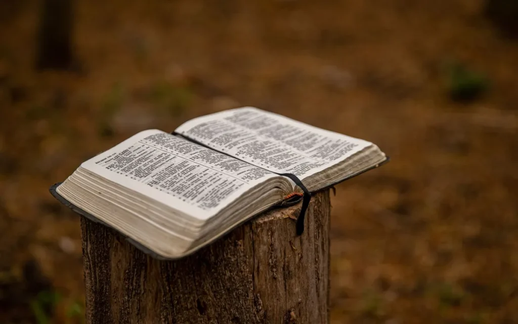 Jak wybrać i kupić Biblię Tysiąclecia do domu?