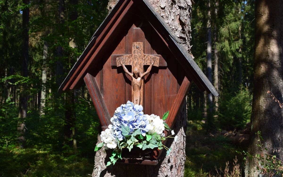 A wooden crucifix with flowers attached to a tree in a serene forest.