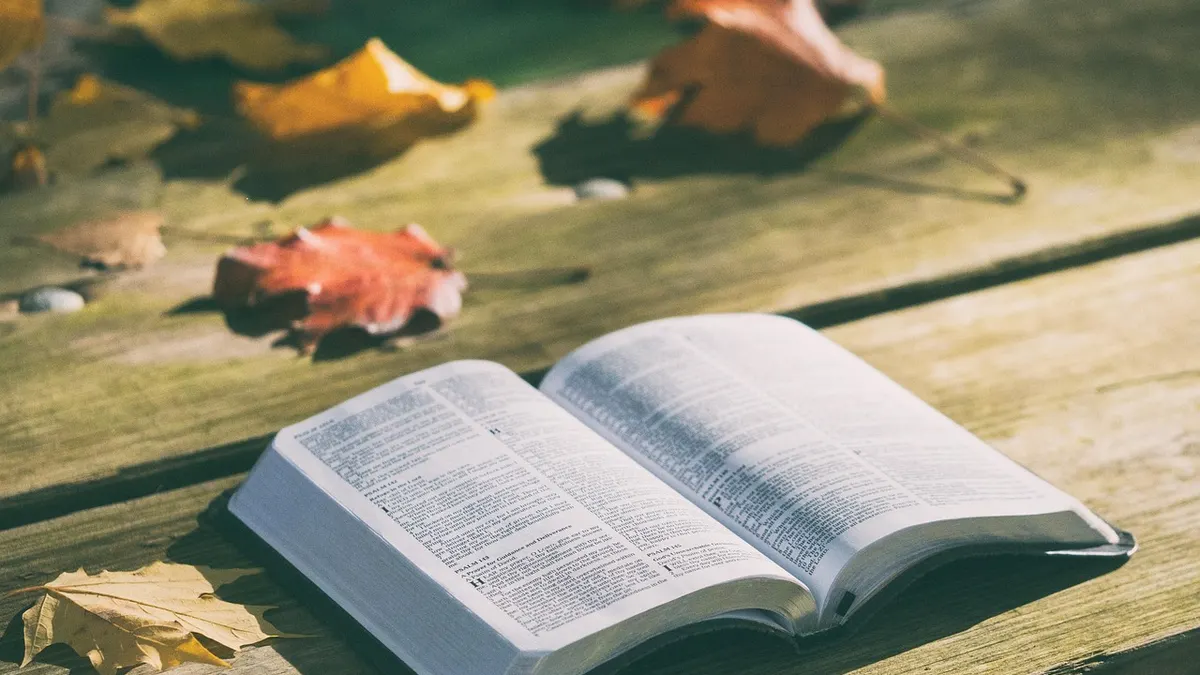 przypowieści biblijne cechy przykłady