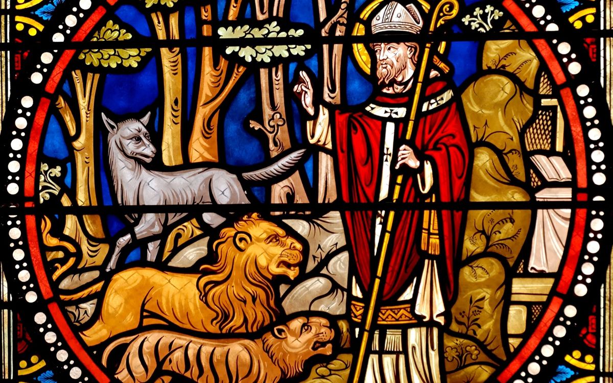 Vibrant stained glass window showcasing a saint with animals in a church setting.
